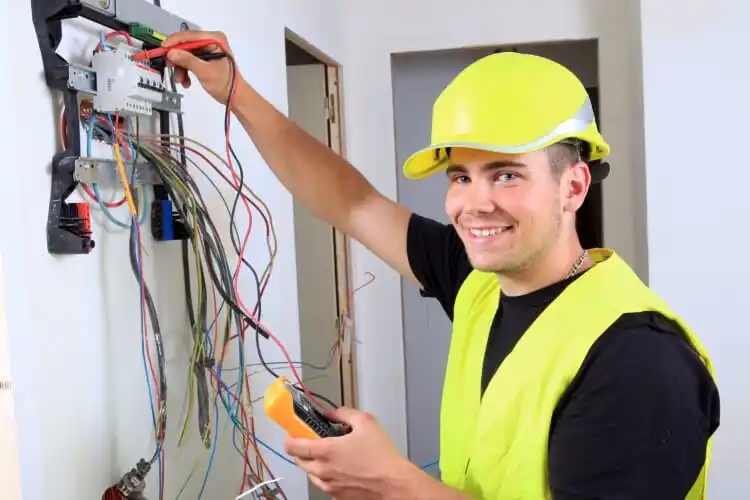 elektricien Vegelinsoord